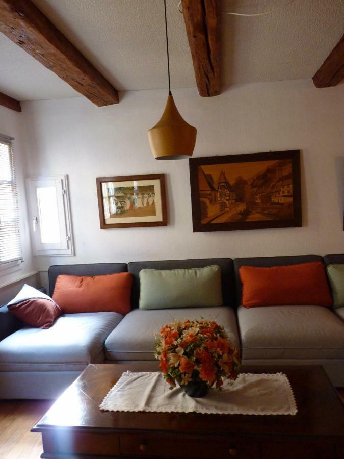 Au Brochet Villa กอลมาร์ ภายนอก รูปภาพ